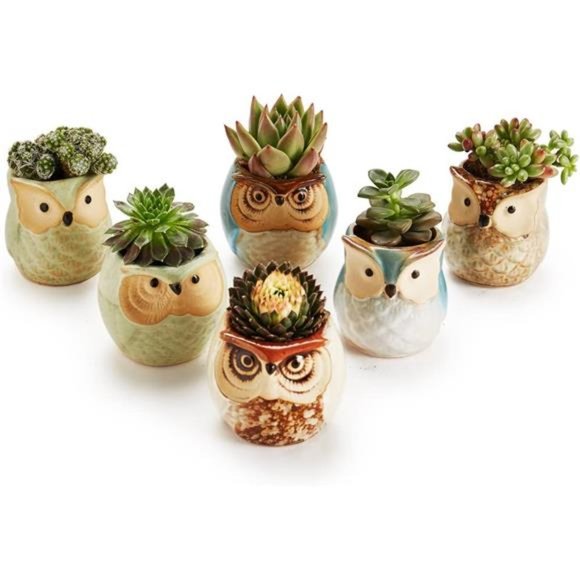Owl Pot Ceramic Flowing Glaze Base Serial Set Succulent Plant Pot Cactus Plant - Picture 3 of 6